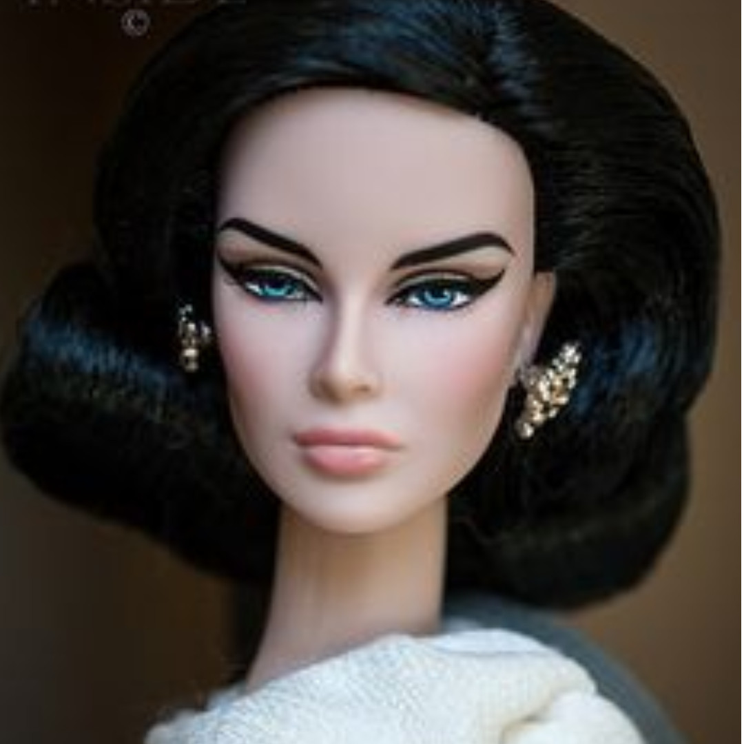 FASHION ROYALTY DOLL - RARE APPEARANCE DANIA ZARR, Bulletin Board ...