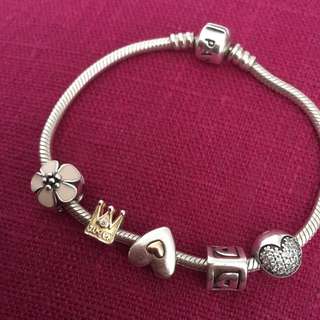 Pandora With All Charms