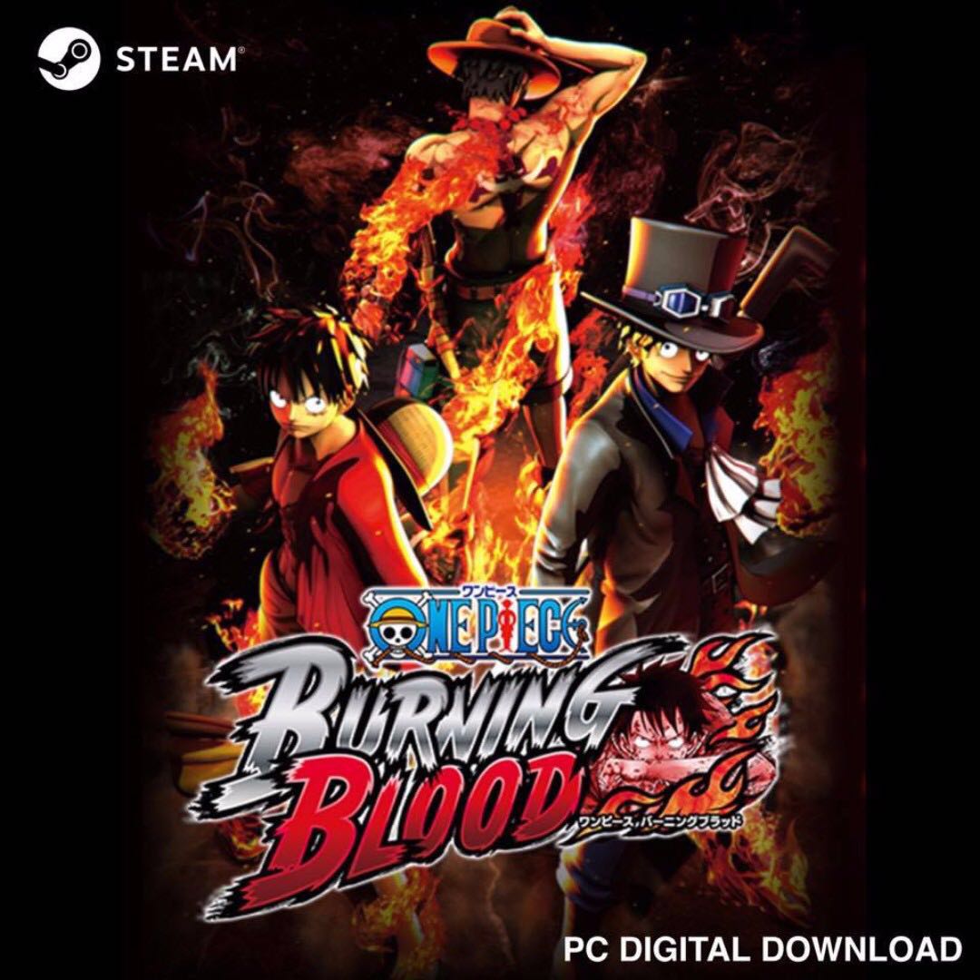 One Piece Burning Blood (Steam PC Digital Download Key Price Reduced