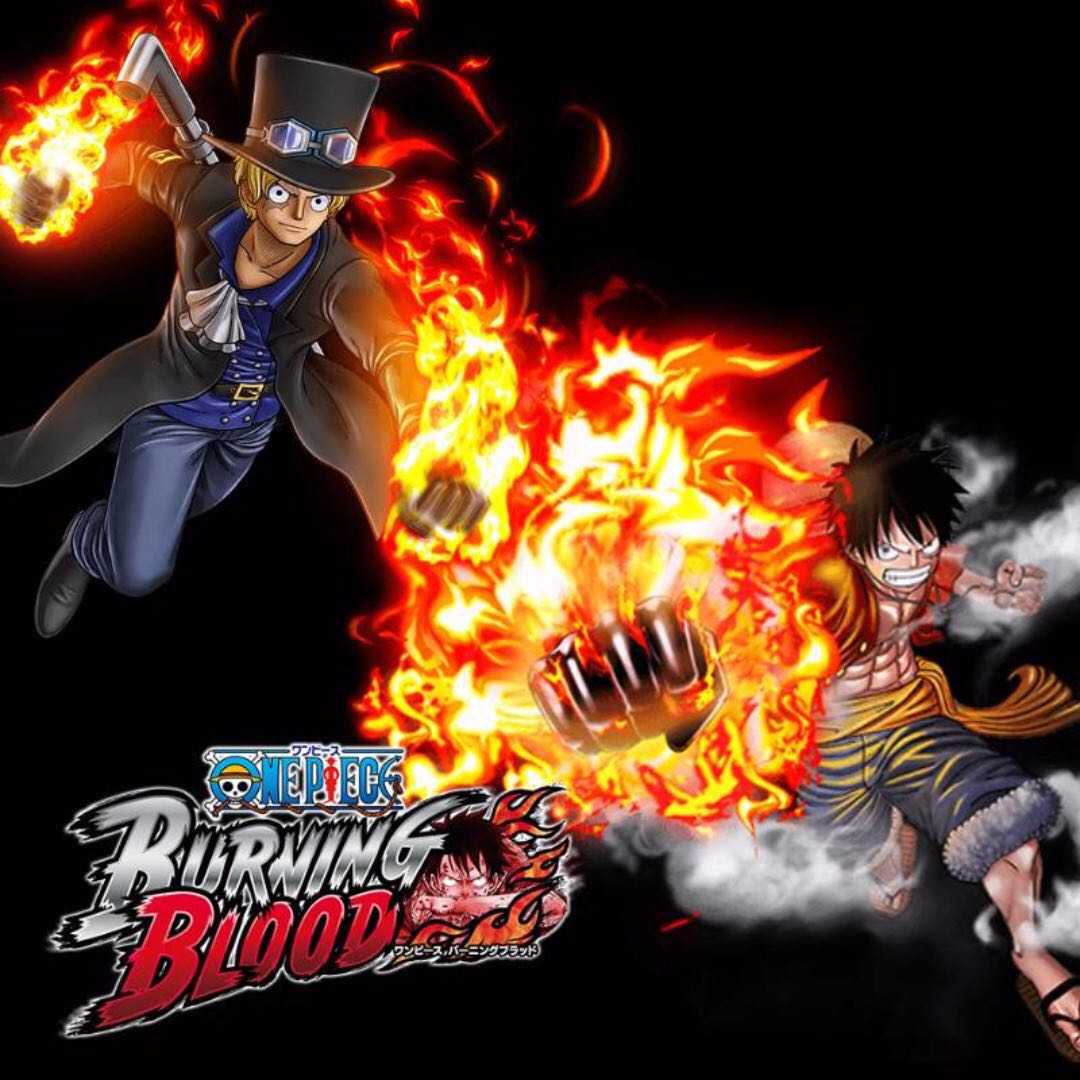 One Piece Burning Blood (Steam PC Digital Download Key Price Reduced