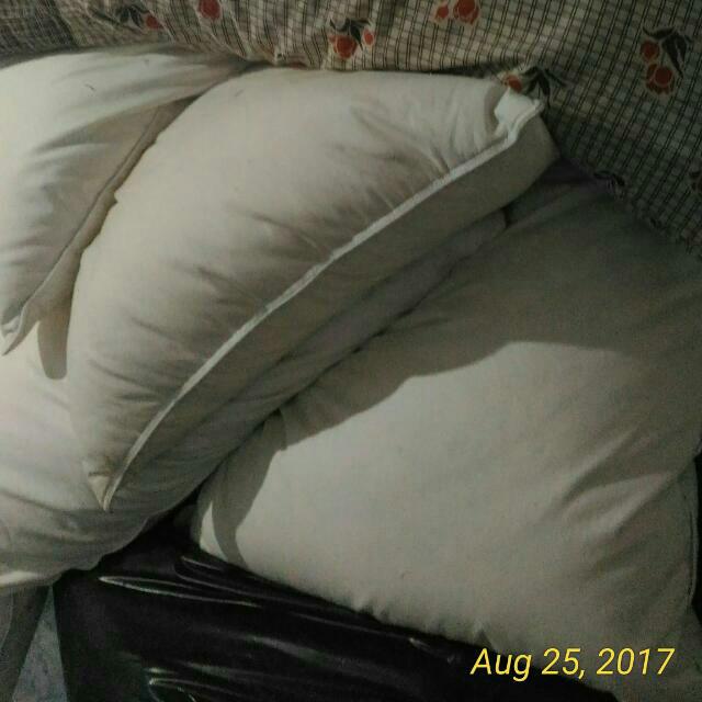 Bantal Kingkoil Bulu Angsa Perabotan Rumah Di Carousell