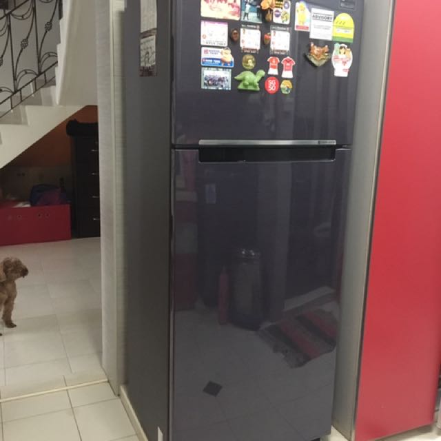 Selling of 1 day old fridge, TV & Home Appliances, Kitchen Appliances