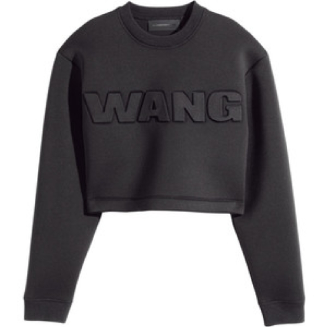 Alexander wang h&m scuba sweatshirt new arrivals
