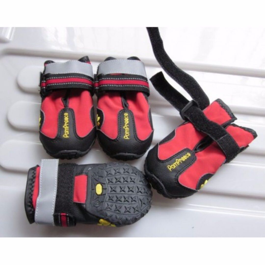 Pompreece dog shoes top