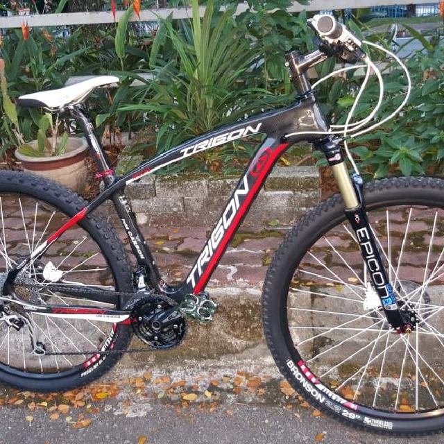 Trigon mountain bike sales