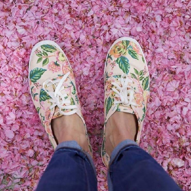 keds malaysia penang