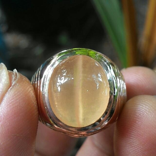 Natural Fosil Mani Gajah Super Motif Mustika Kendit Men S Fashion