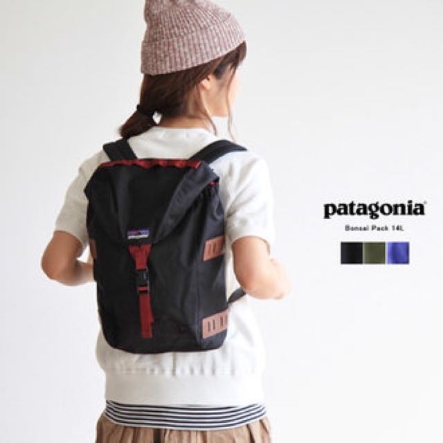 Patagonia bonsai backpack hot sale