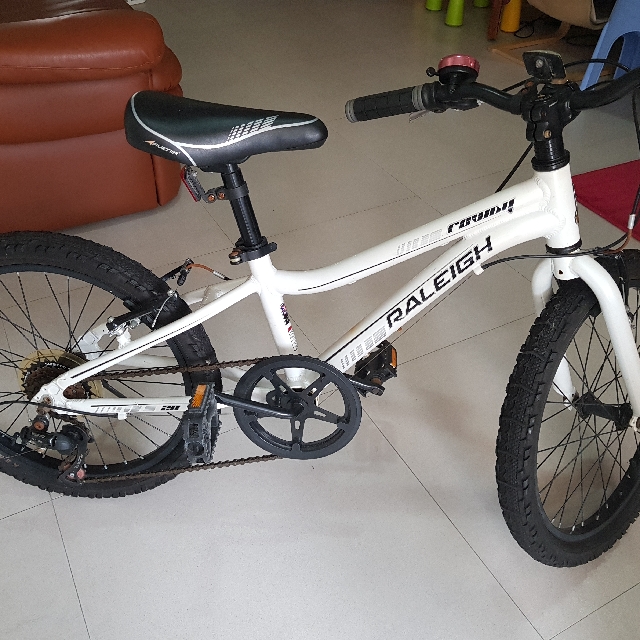 Raleigh Bikes Rowdy 20 2024 www.alhudapk