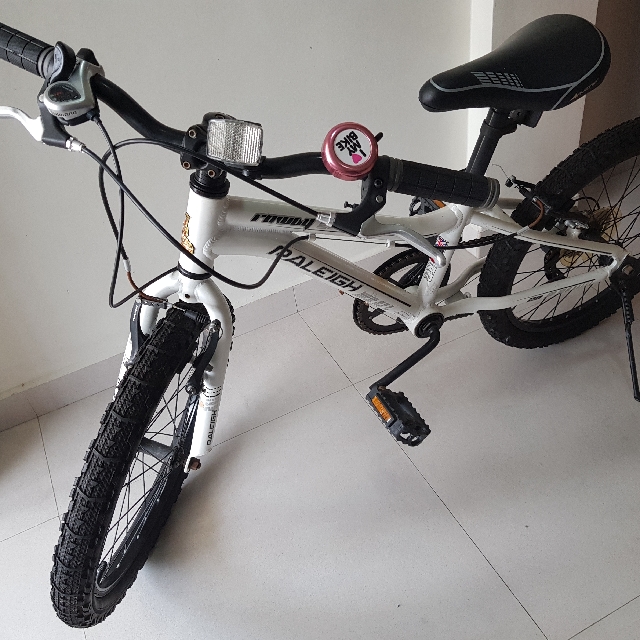 Raleigh bikes rowdy 20 hot sale