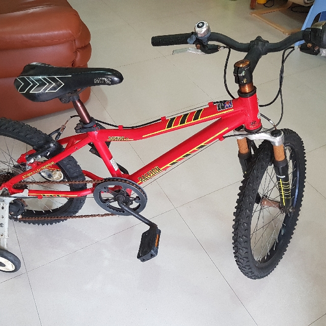 Reduced price Raleigh Rowdy 20 Kids Bike Sports Equipment Bicycles Parts Bicycles on Carousell