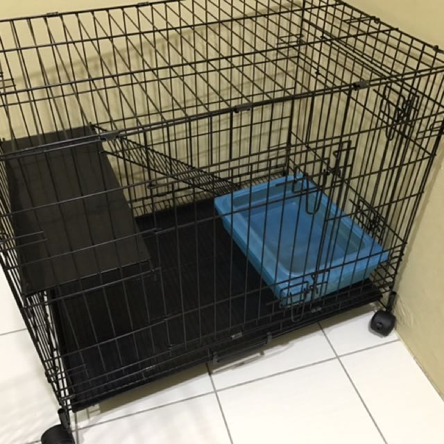 Sangkar Kucing + Litter Box, Pet Supplies, Pet Accessories on 
