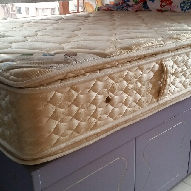 Sealy Hotel Deluxe Carousell