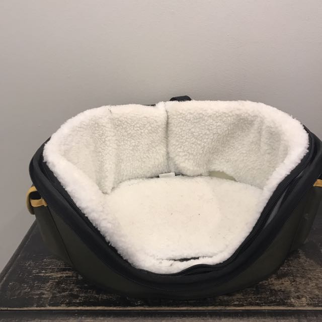 Duke daisy pet carrier discount