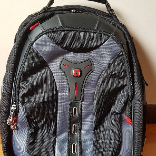 Swissgear deals pegasus 17