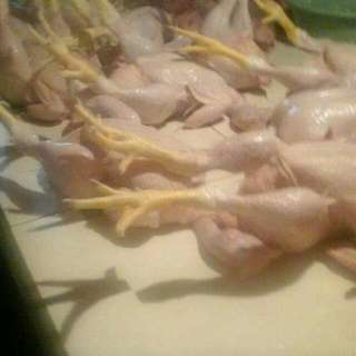 Daging Segar Ayam