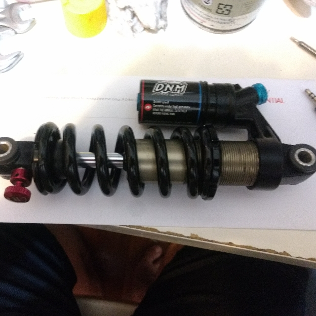dnm rear coil shock review