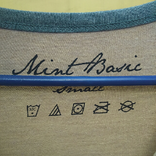 Mint Basic Longleeves (Category: Others Tops) located in Manila. Submitted by mariantherese (Listing ID 124589040, Image 2). Description: .