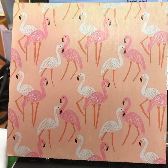 Unduh 200 Wallpaper Dinding Flamingo HD Paling Keren Unduh 200 Wallpaper Dinding Flamingo HD Paling Keren