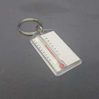 THERMOMETER KEY CHAIN[2762]