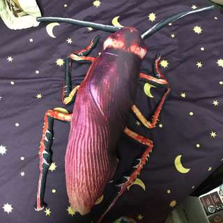蟑螂抱枕