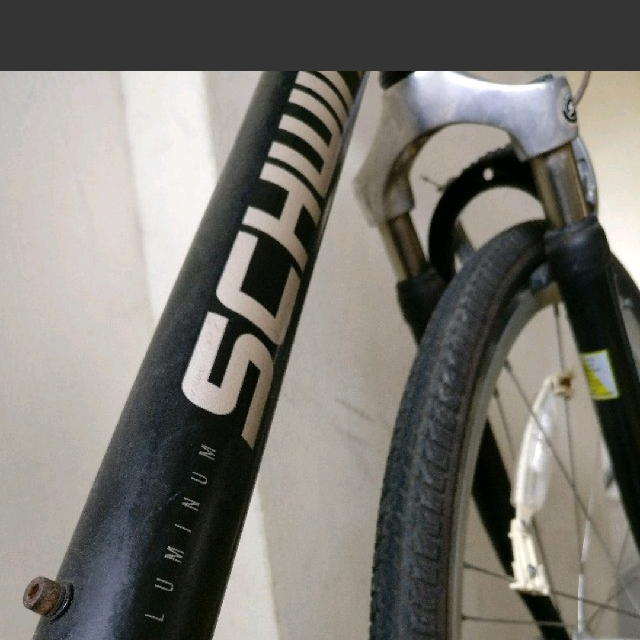 schwinn avenue men's bike