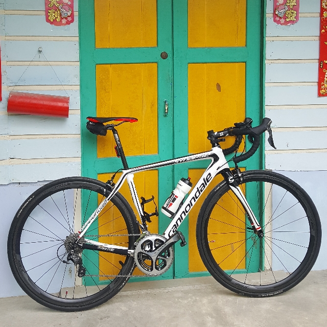 cannondale synapse 51