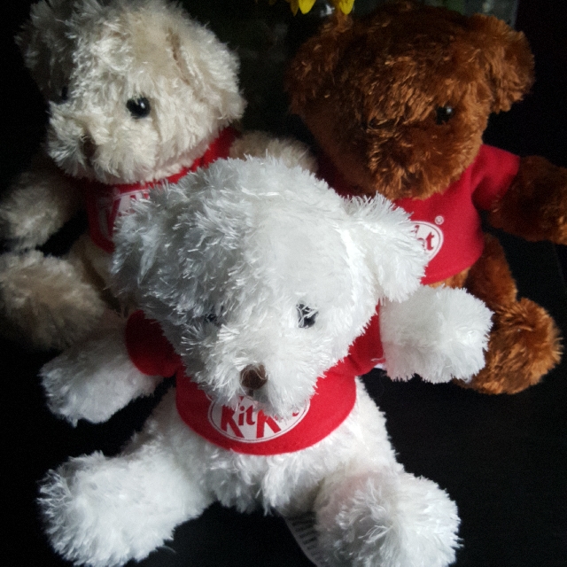 Kit Kat Plush Toy, Hobbies & Toys, Toys & Games on Carousell