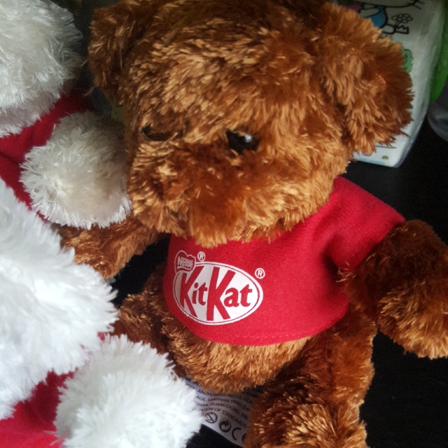 Kit Kat Plush Toy, Hobbies & Toys, Toys & Games on Carousell