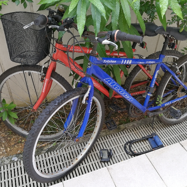 Old rusted cheap bicycle for sale