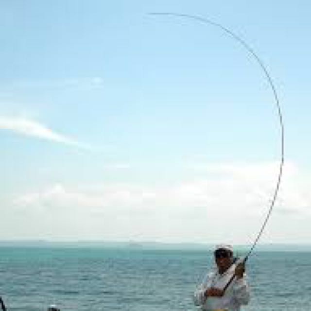 Telescopic travel fishing noodle rod 11 feet, Sports Equipment, Fishing