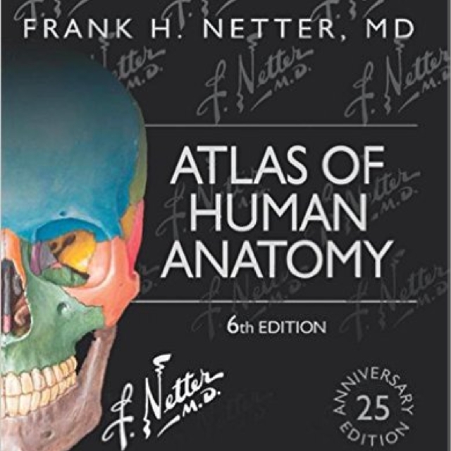 Atlas of Human Anatomy by Frank Netter, Hobbies & Toys, Books ...