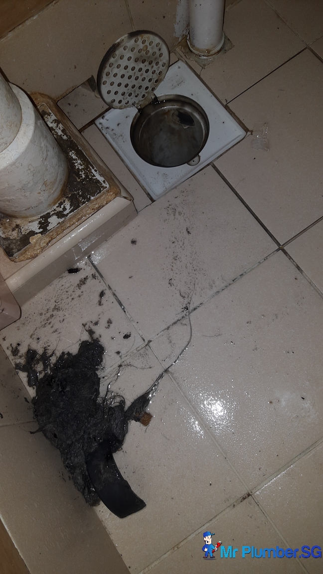 Clogged Floor Trap Clogged Drainage Pipe Clearing Floor Trap