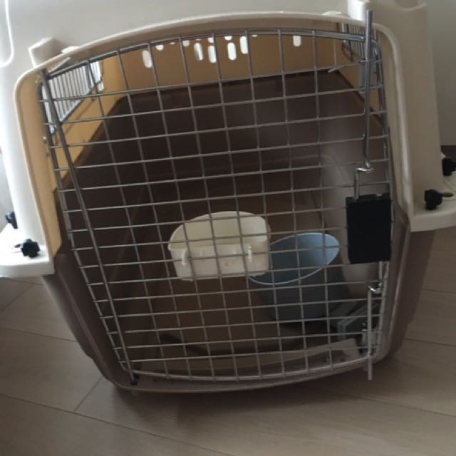 buy dog carrier