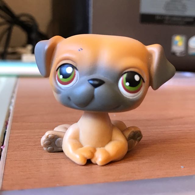 Lps pug deals