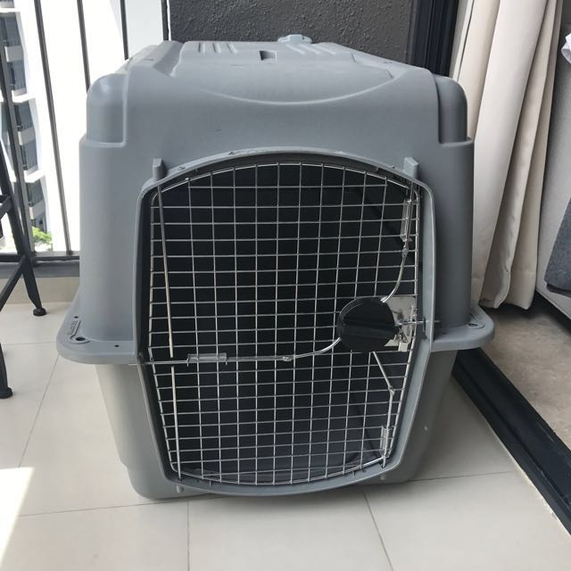 Petmate Sky Kennel Ultra, Pet Supplies, Homes & Other Pet Accessories