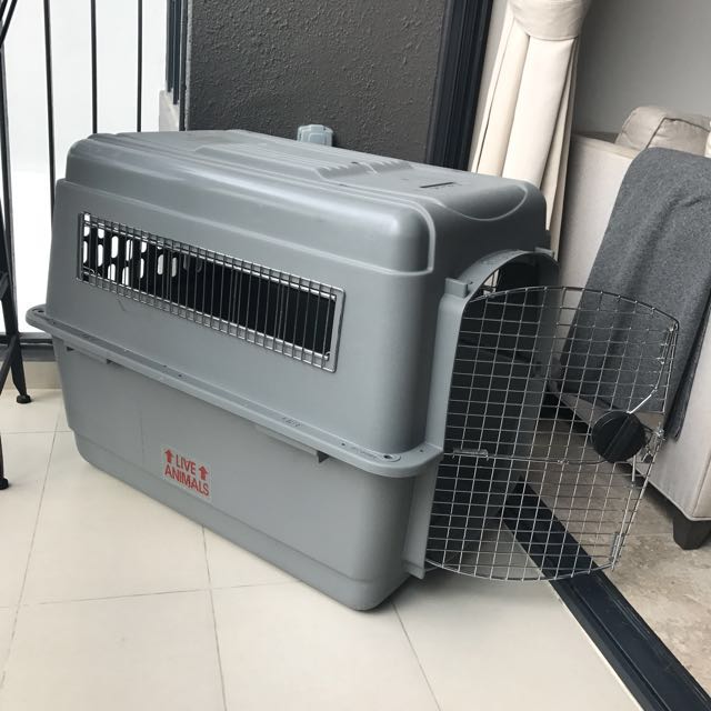 Petmate Sky Kennel Ultra, Pet Supplies, Homes & Other Pet Accessories