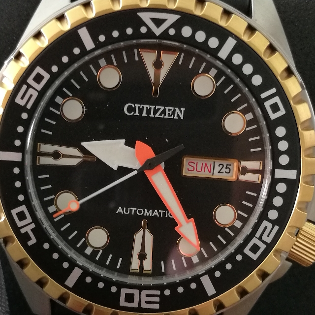 Citizen Diver Watches Men S Fashion Watches On Carousell