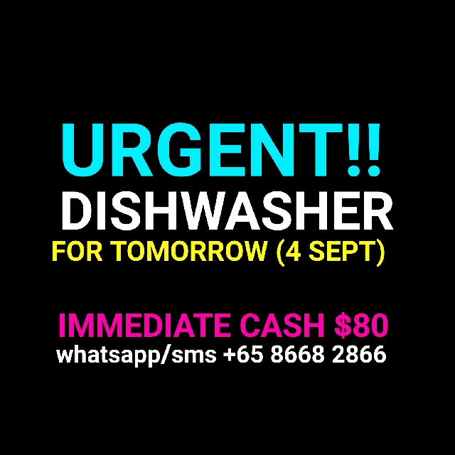 DISH WASHER ( DAILY CASH) Dishwasher, Jobs, Hospitality, F&B on Carousell