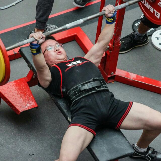 exercise bench rebel