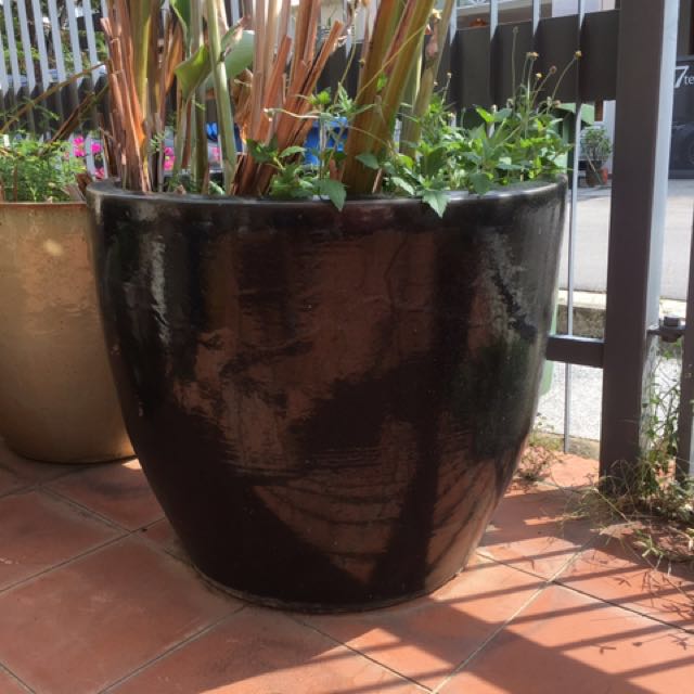 Xxl Flower Pot From Thow Kwang Gardening On Carousell