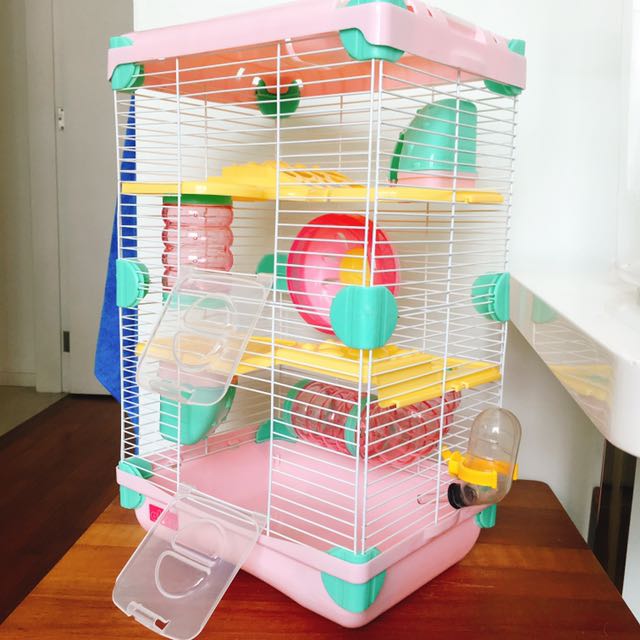 mouse in cage