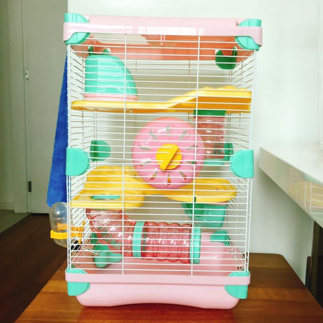 Cute mouse sales cage