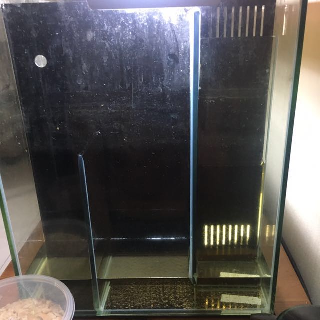 Internal sump filtration bare aquarium tank, Pet Supplies, Homes