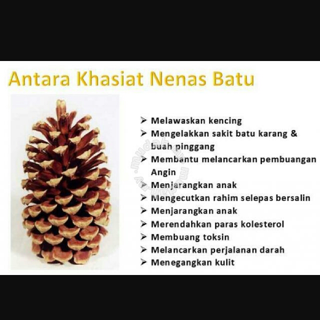Nenas Batu Rm 13 Rm 8 Rm 6 Health Beauty Skin Bath Body On Carousell