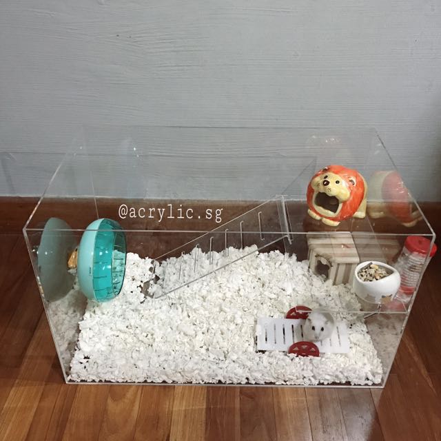 acrylic hamster tank