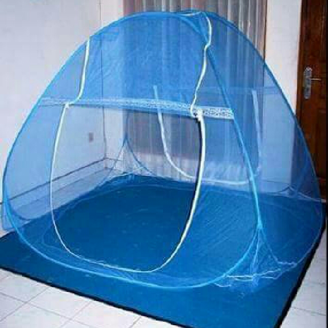 Sugar Glider Tent & Jack-at-tent-time-4. Hairloss Adalah Penyakit Sugar