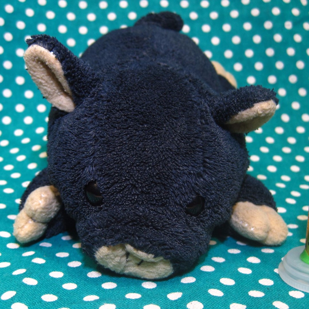 black pig stuffed animal