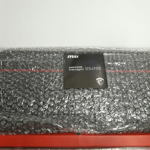 MSI Interceptor DS4100 Gaming Keyboard (Gaming G Series), Computers ...