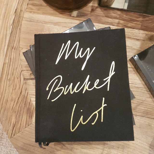 My Bucket List Journal, Hobbies & Toys, Books & Magazines, Storybooks on Carousell